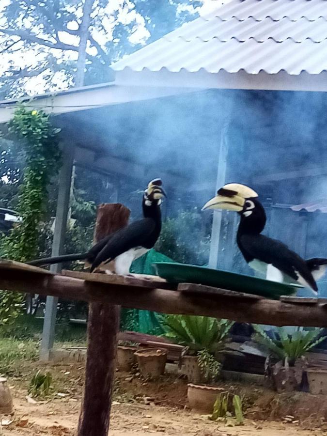 Eco Bungalow Koh Phayam Buitenkant foto