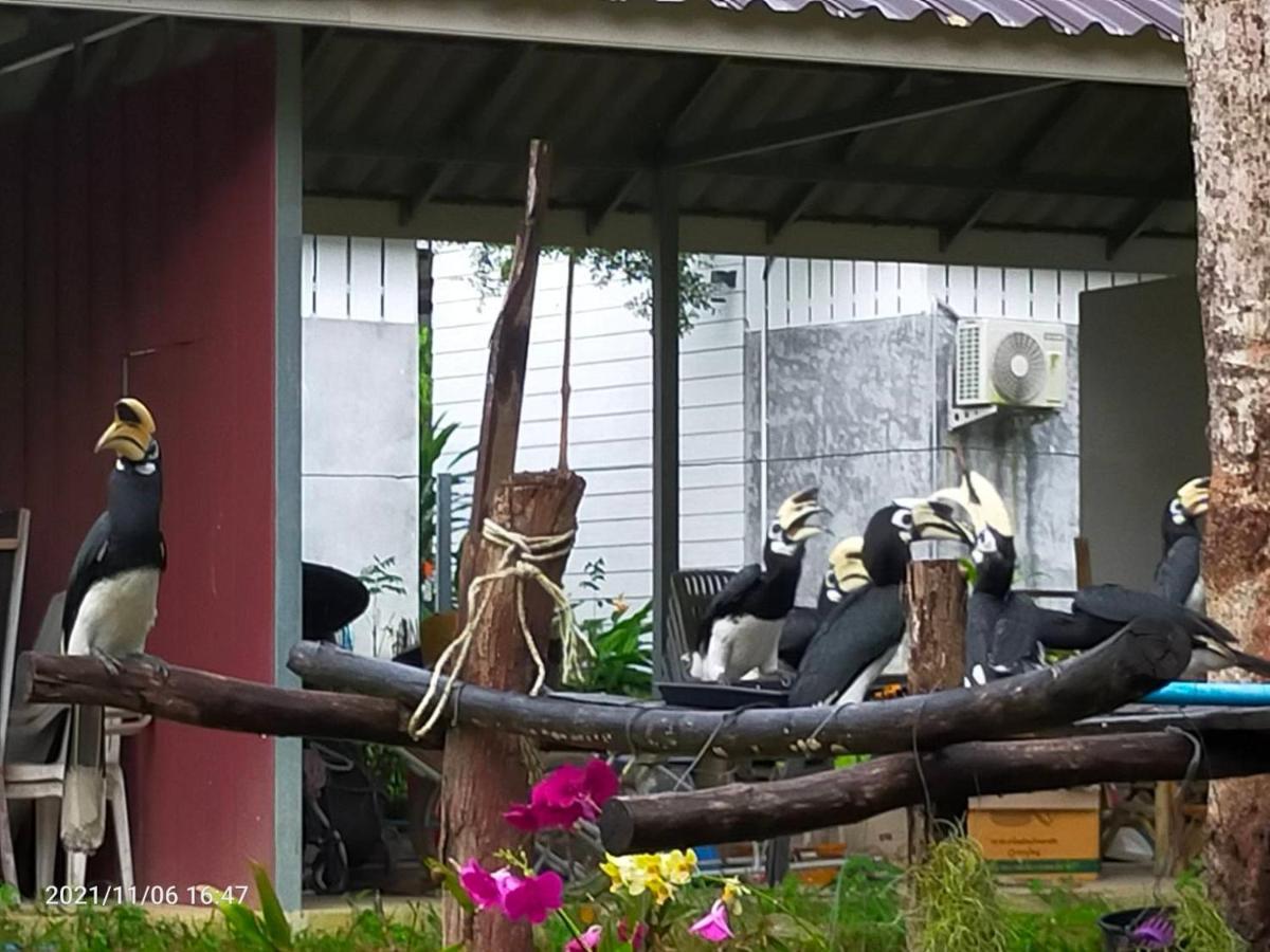 Eco Bungalow Koh Phayam Buitenkant foto