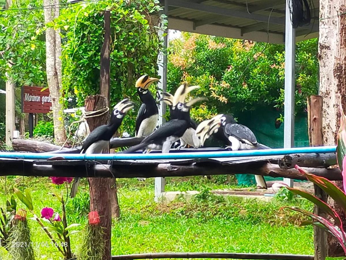 Eco Bungalow Koh Phayam Buitenkant foto