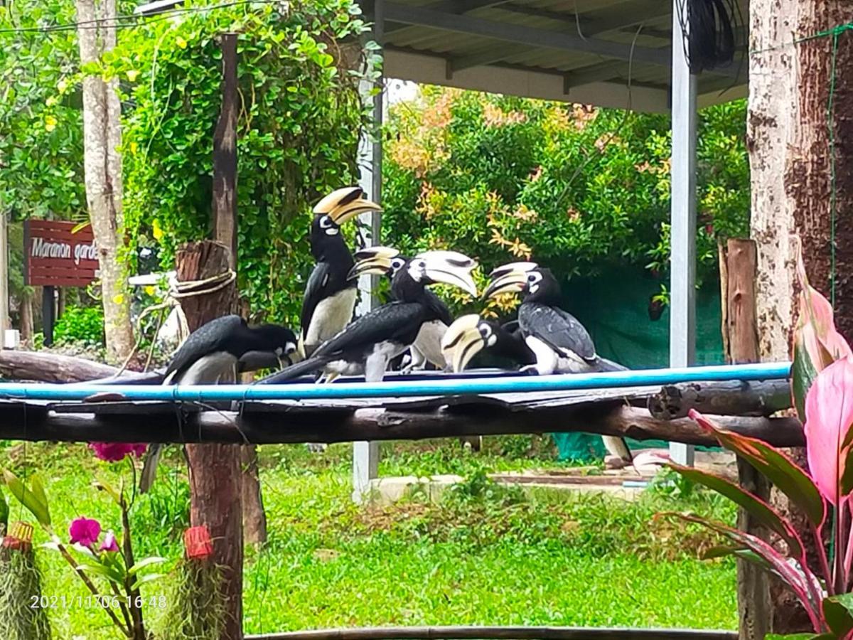 Eco Bungalow Koh Phayam Buitenkant foto