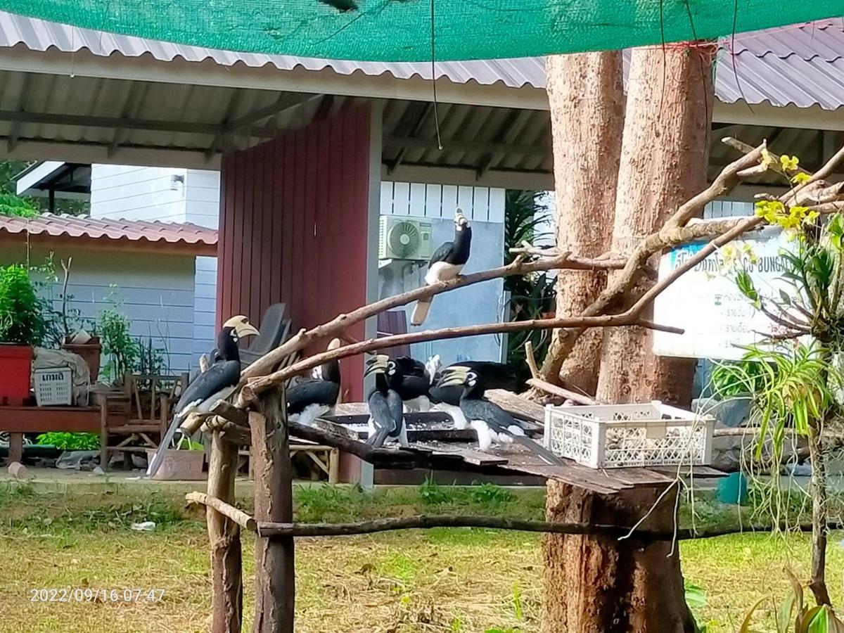 Eco Bungalow Koh Phayam Buitenkant foto