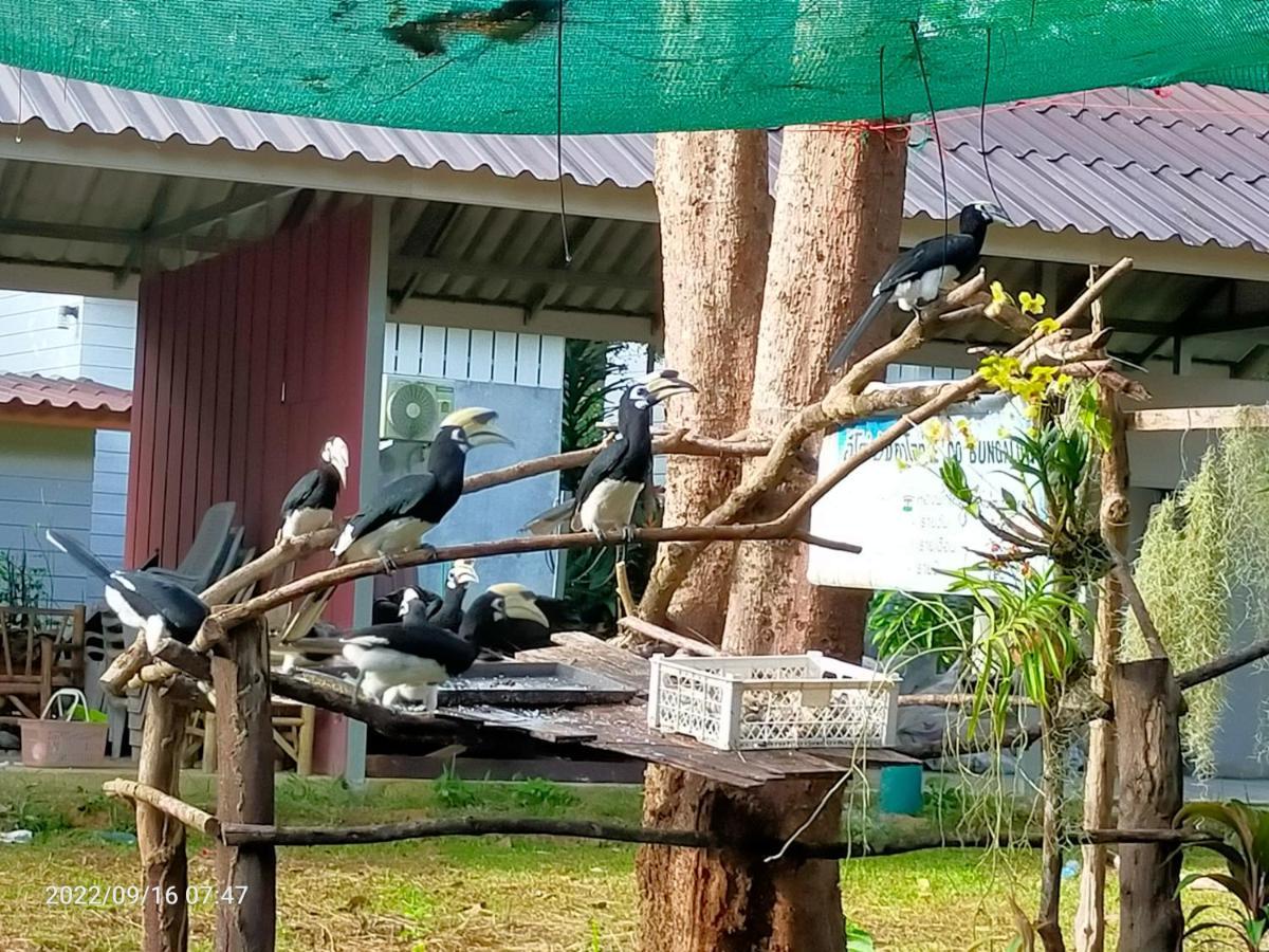 Eco Bungalow Koh Phayam Buitenkant foto
