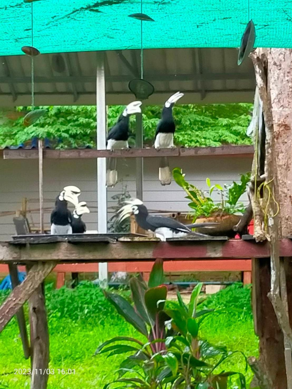 Eco Bungalow Koh Phayam Buitenkant foto